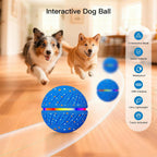 Royal Blue Mini — interactive dog ball, 3 modes, waterproof, touch activated