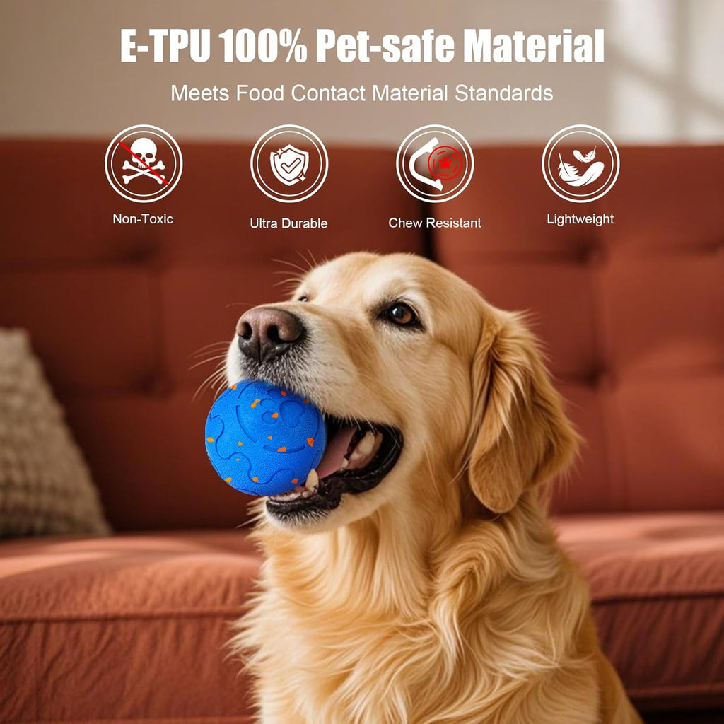 Royal Blue Pro — E-TPU 100% pet-safe material, golden retriever fetching