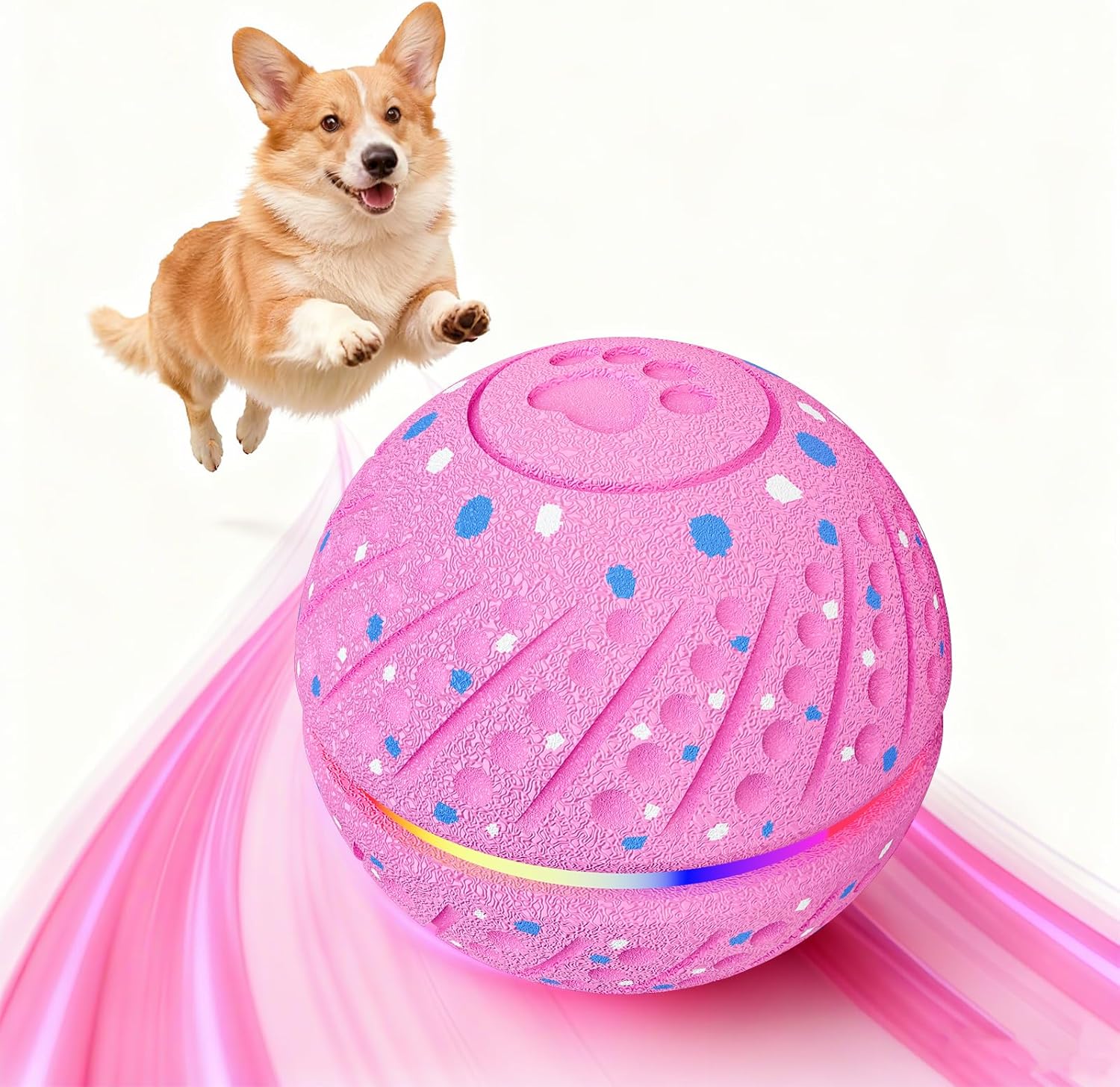 Hot Pink Mini — corgi chasing the light-up rolling ball