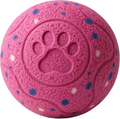 Hot Pink Pro, solo studio shot of the FetchSphere smart interactive dog ball